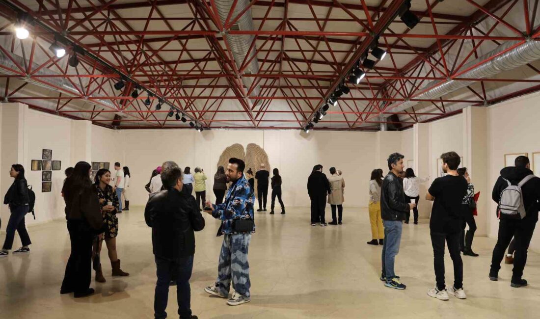 Düzce Üniversitesi Sanat, Tasarım ve Mimarlık Fakültesi, Dr. Öğr. Üyesi