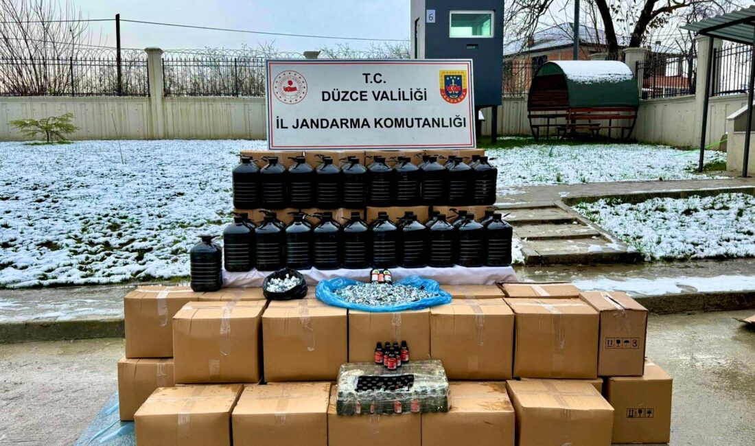 Düzce'de Yılbaşı öncesi piyasaya sürünmek üzere hazırlanan ve piyasaya değeri