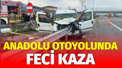 Anadolu Otoyolu'nun Düzce geçişinde bariyere saplanan hafif ticari araçtaki 2
