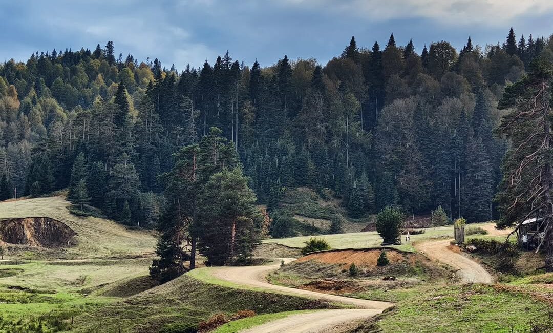 Düzce İl Kültür ve Turizm Müdürlüğü, şehrin gürültüsünden uzaklaşmak isteyenlere