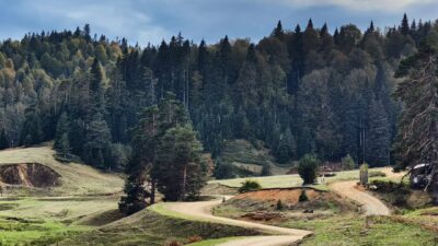 Düzce İl Kültür ve Turizm Müdürlüğü, şehrin gürültüsünden uzaklaşmak isteyenlere
