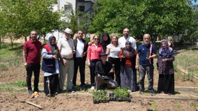 Düzce Belediyesi Tarım Akademisi, bünyesinde yetiştirdiği Ata Tohumu’ndan elde edilen