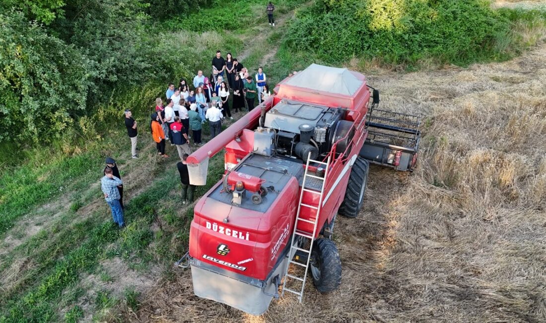 Düzce Belediyesi Tarım Akademisi’nde Kastamonu’dan getirilen atalık siyez buğdayı tohumlarıyla
