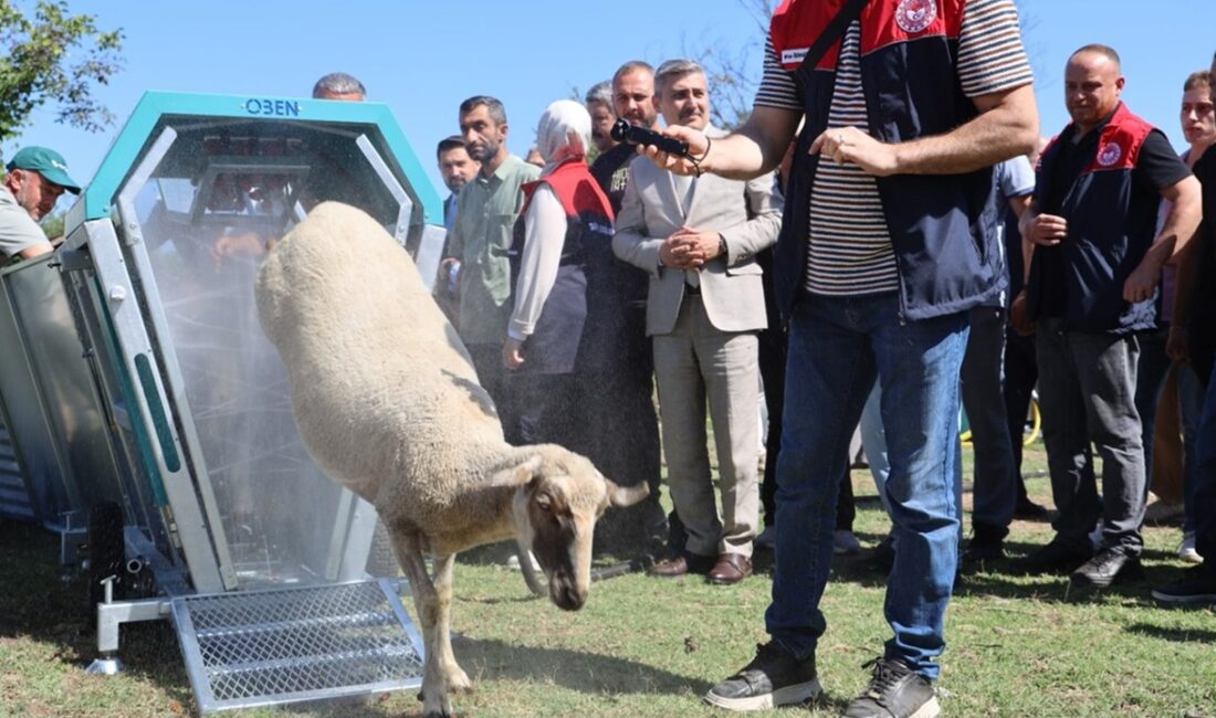 Düzce’de küçükbaş hayvancılığın altyapısını güçlendirmek ve kırsal kalkınmayı desteklemek amacıyla