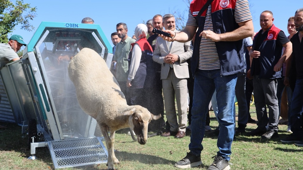 Düzce’de küçükbaş hayvancılığın altyapısını güçlendirmek ve kırsal kalkınmayı desteklemek amacıyla